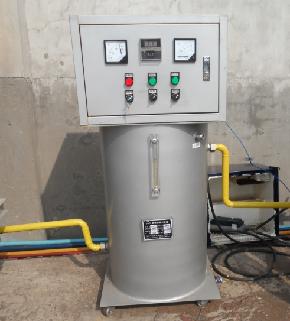 电加热桃花成人在线视频